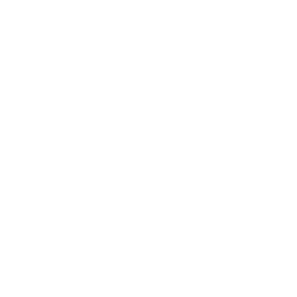 ACE mobile wash and wax logo